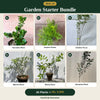 Deal 10 - Garden Starter Bundle