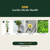 Deal 11 - Garden Shrubs Bundle