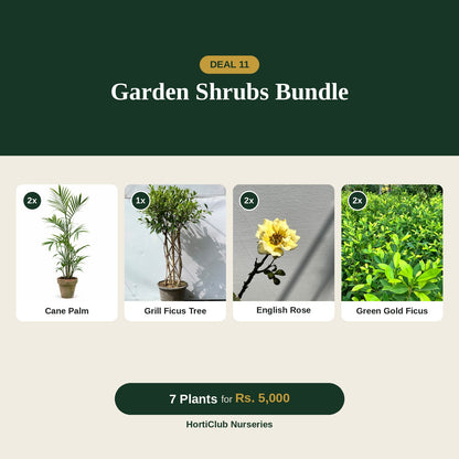 Deal 11 - Garden Shrubs Bundle
