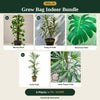 Deal 15 - Grow Bag Indoor Bundle