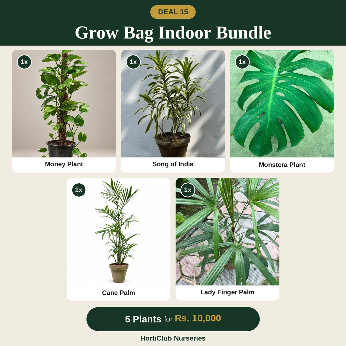 Deal 15 - Grow Bag Indoor Bundle