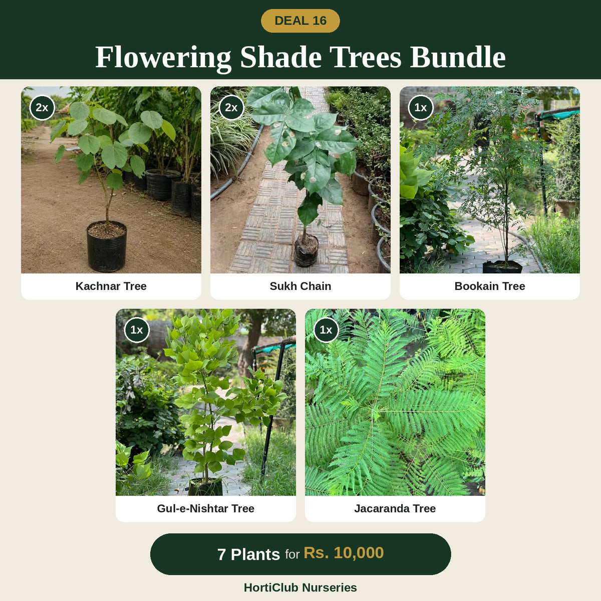 Deal 16 - Flowering Shade Trees Bundle