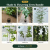 Deal 22 - Shade & Flowering Trees Bundle