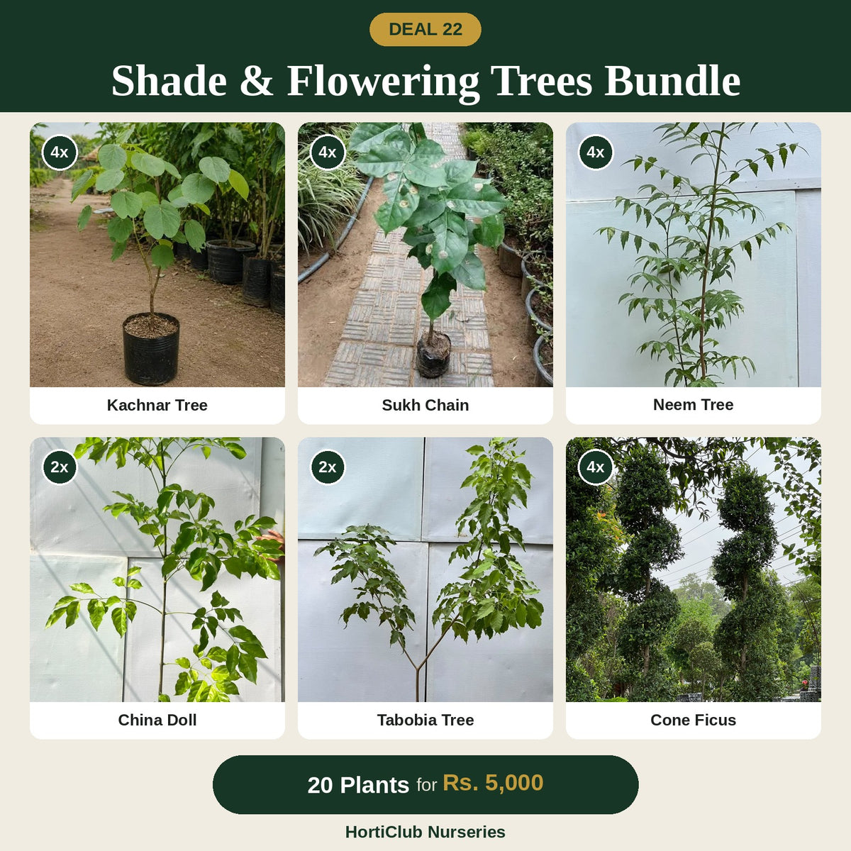 Deal 22 - Shade & Flowering Trees Bundle