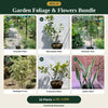 Deal 23 - Garden Foliage & Flowers Bundle