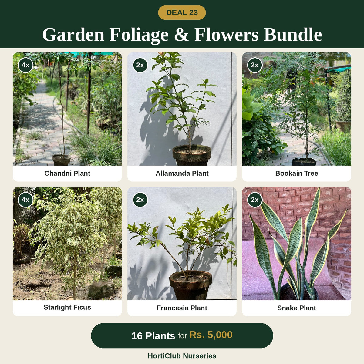 Deal 23 - Garden Foliage & Flowers Bundle
