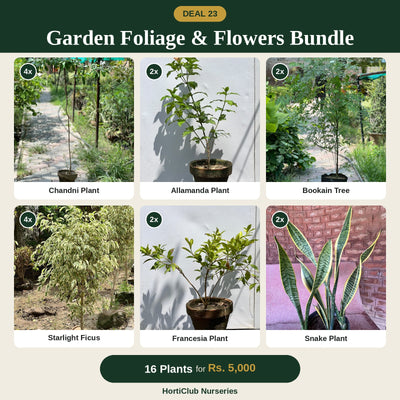 Deal 23 - Garden Foliage & Flowers Bundle