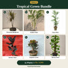 Deal 4 - Tropical Green Bundle