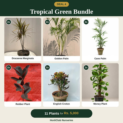 Deal 4 - Tropical Green Bundle