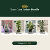 Deal 5 - Easy Care Indoor Bundle