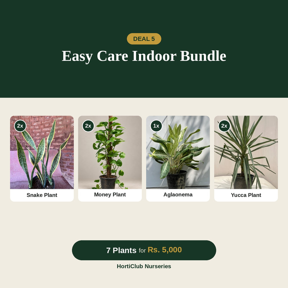 Deal 5 - Easy Care Indoor Bundle