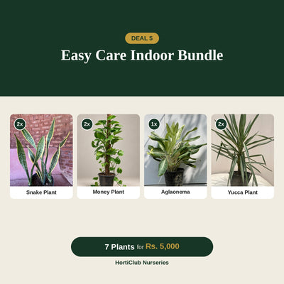 Deal 5 - Easy Care Indoor Bundle