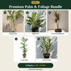 Deal 7 - Premium Palm & Foliage Bundle