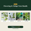 Deal 8 - Flowering & Foliage Trees Bundle