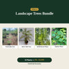 Deal 9 - Landscape Trees Bundle