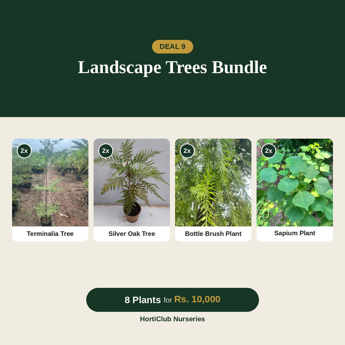 Deal 9 - Landscape Trees Bundle
